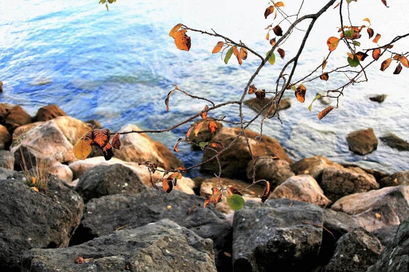 Beach Mindfulness Walks